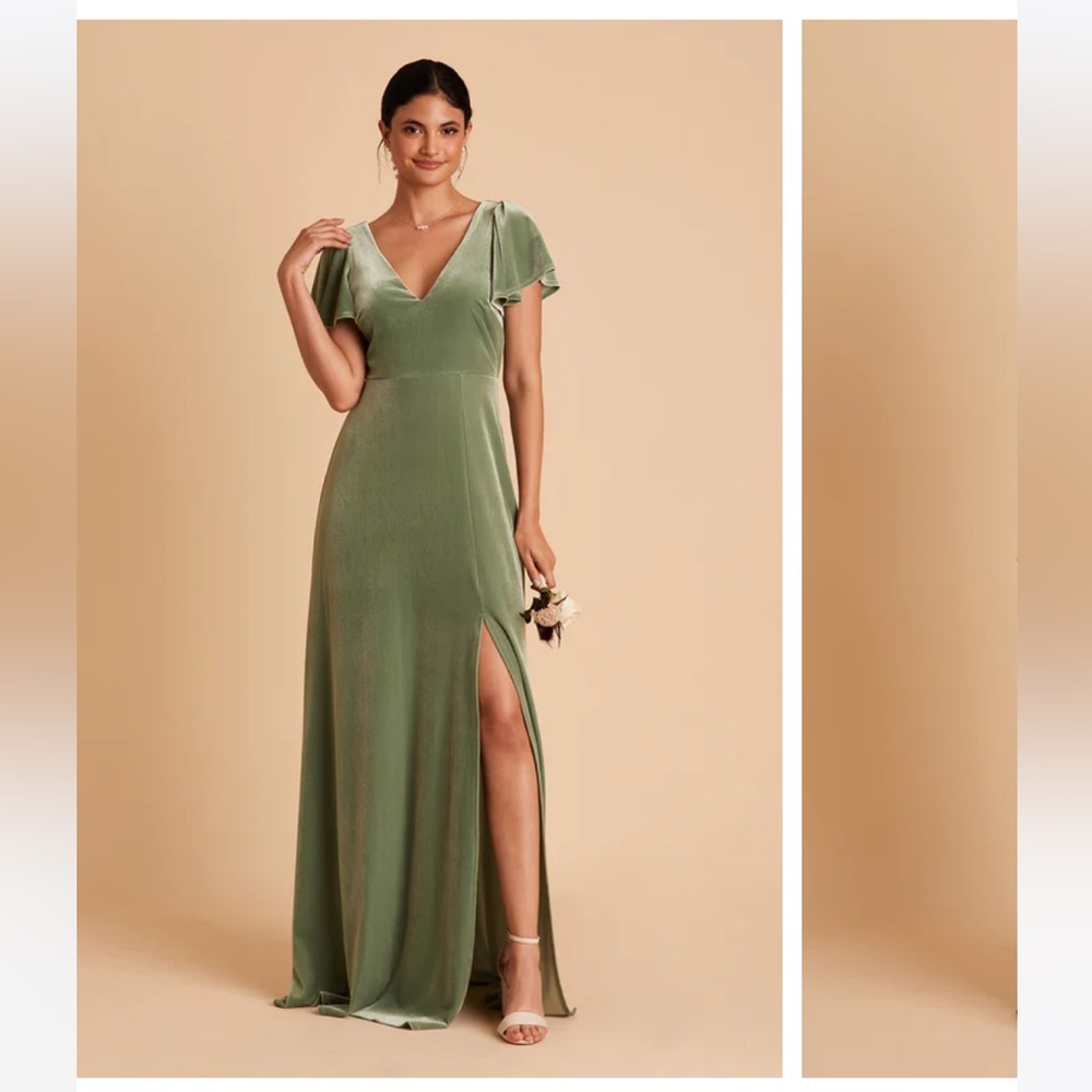Birdy Grey Hannah Velvet Dress
